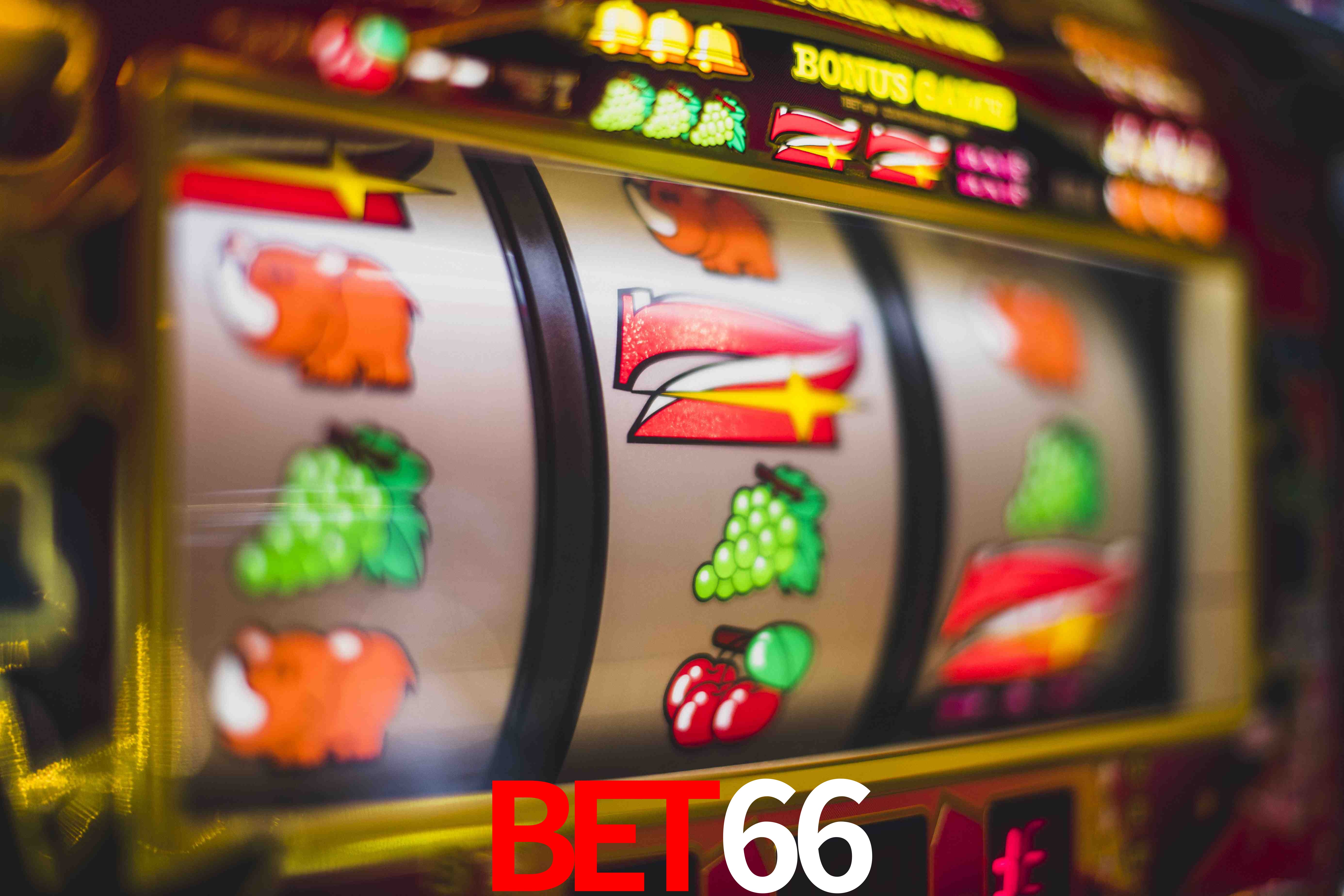 Quick Registration bet66